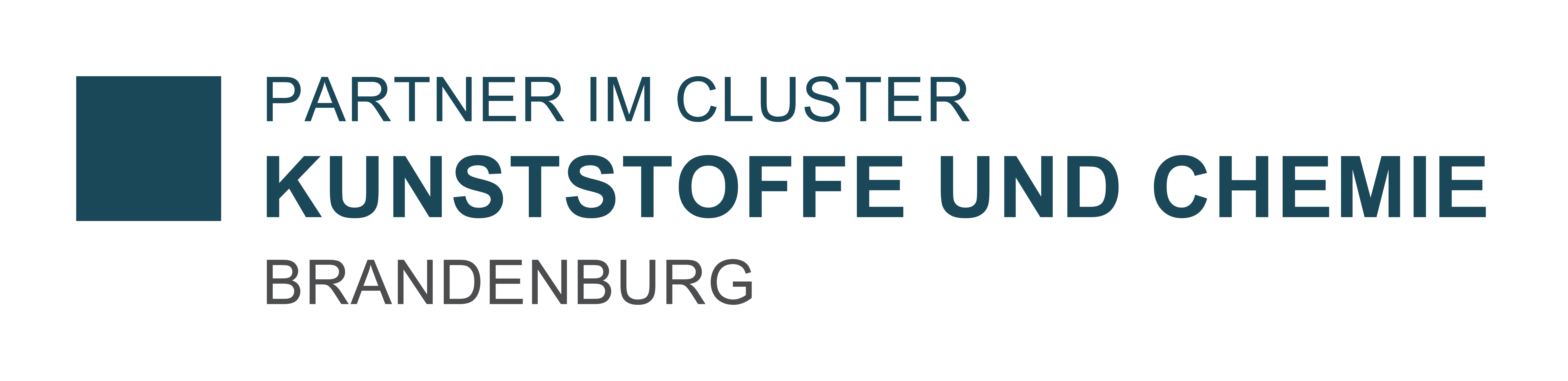 Logo Partner im Cluster Kunststoffe und Chemie Brandenburg